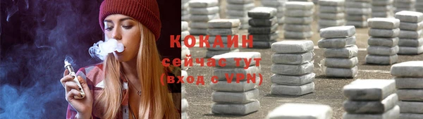 стафф Тайга