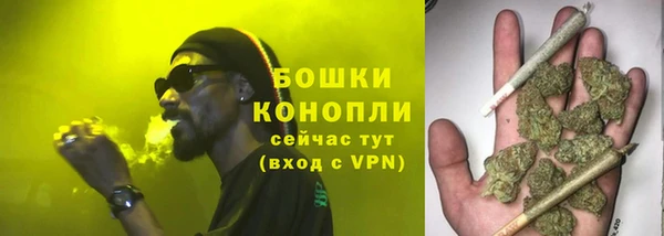 гашик Снежинск