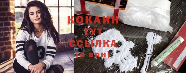 гашик Струнино