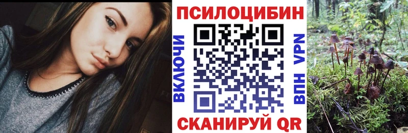 закладка Снежногорск Псилоцибиновые грибы ЛСД